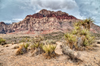 IMG_2129_HDR-Edit