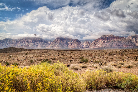 IMG_1973_HDR-Edit