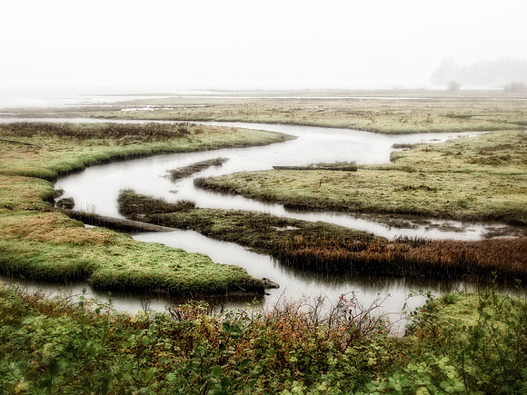 Marshland Rain