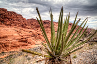 IMG_1989_HDR-Edit