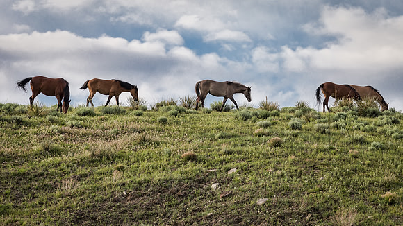 IMG_7572-Edit