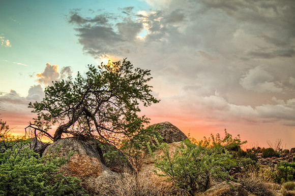 Desert Dusk
