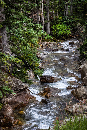 _J1A5481-Edit-Edit