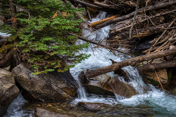 _J1A5469-Edit-Edit
