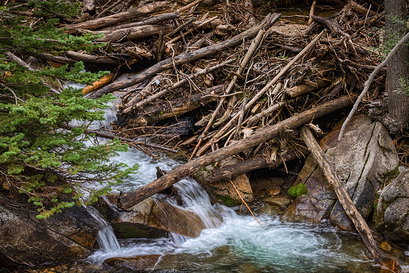 _J1A5473-Edit-Edit