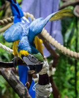 IMG_5533