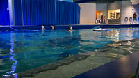 IMG_5603
