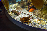 IMG_5663