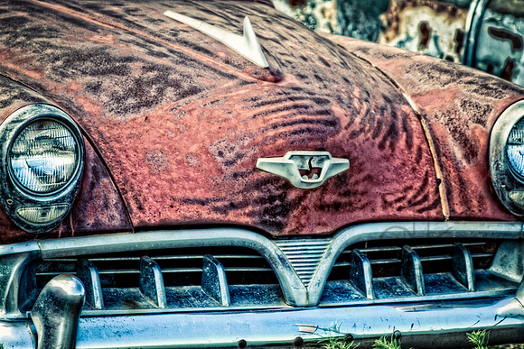 A Tiger Under the Hood