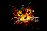 IMG_0942-Edit-Edit-2-Edit