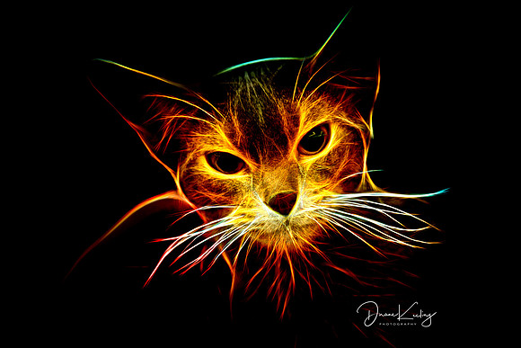 IMG_0942-Edit-Edit-2-Edit