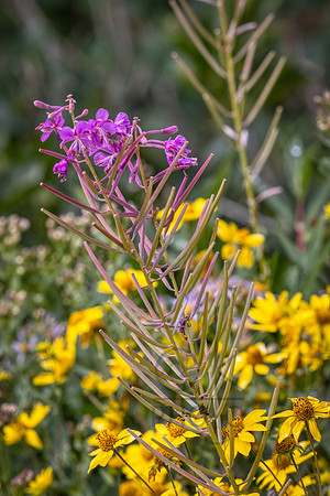 _J1A5449-Edit-Edit