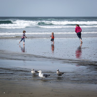 Beach Tag
