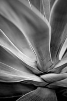IMG_5936-Edit-Edit
