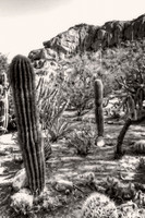 IMG_5858_HDR-Edit-Edit