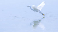 _B4A5647-Edit-Edit