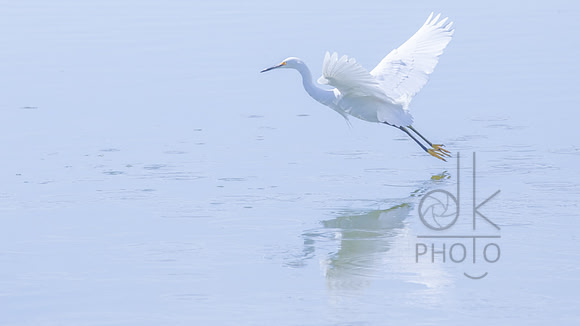 _B4A5647-Edit-Edit