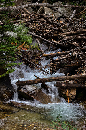 _J1A5464-Edit-Edit-Edit-Edit