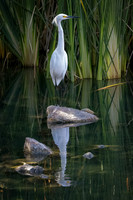_J1A4180-Edit-Edit