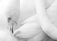 1J1A1603-Edit-Edit