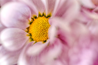 _J1A1673-Edit
