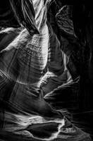 A Step Into the Light