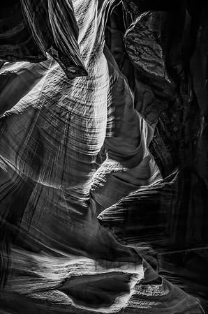 A Step Into the Light