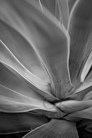 IMG_5936-Edit