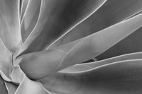 IMG_0434