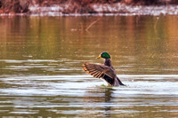 BB4A4128-Edit-Edit