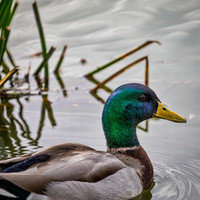 BB4A4145-Edit-Edit