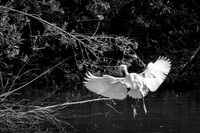 BB4A4255-Edit-Edit