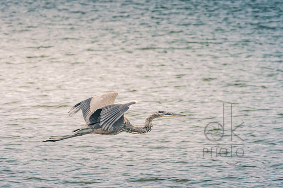 _J1A7100-Edit-Edit