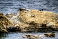 King of the Rock