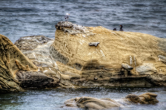 King of the Rock