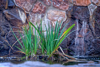 IMG_5855_HDR