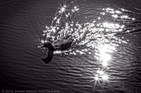 IMG_5898