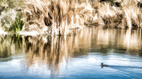 IMG_5864_HDR-Edit