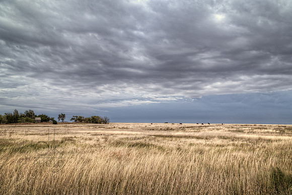 IMG_2562_HDR