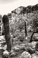 IMG_5858_HDR-Edit-Edit