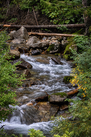 _J1A5491-Edit-Edit-Edit