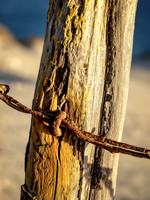 Fence Post