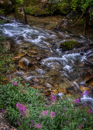_J1A5486-Edit-Edit