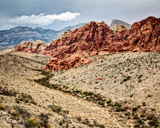 Red Rock Ravine
