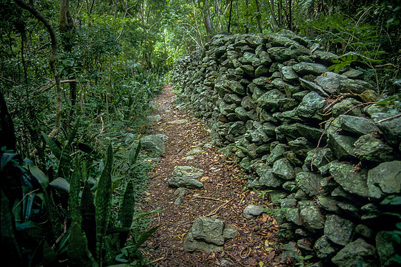 The Wall