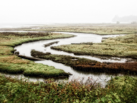 Marshland Rain