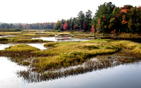 Photo of the Day: Marshland View