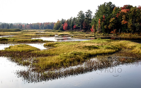 Photo of the Day: Marshland View