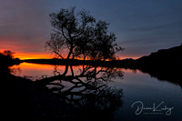 _J1A1109-Edit-Edit-Edit