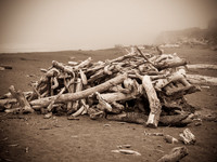 Driftwood Lodge